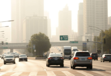 Für welche Kraftfahrzeuge gilt innerorts die freie Fahrstreifenwahl? Wichtige Regeln für Autofahrer Für welche Kraftfahrzeuge gilt innerorts die freie Fahrstreifenwahl