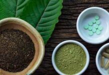 Kratom in den Medien: Mythos vs. Realität Kratom in den Medien