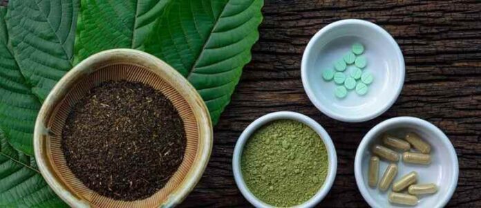 Kratom in den Medien Kratom in den Medien