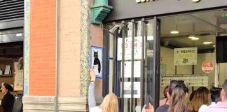 El Gordo von Zuhause aus spielen und Chancen sichern El Gordo von Zuhause aus spielen und Chancen sichern