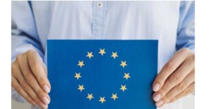 EU Blue Card: Voraussetzungen, Antragsverfahren und Vorteile EU Blue Card
